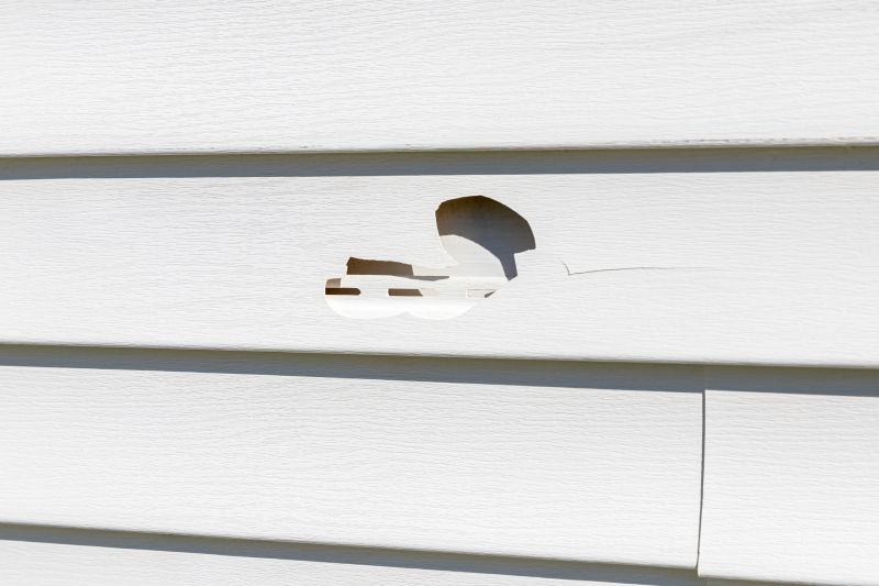Inspecting Vinyl Siding for Damage